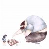 ЕШЬ ТВОРОГ ЖМИ 340 - Бодибилдинг форум AnabolicShops