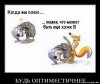 Sdelaitelo.BIZ - Бодибилдинг форум AnabolicShops