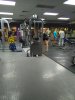 Классики в бодибилдинге. - Бодибилдинг форум AnabolicShops