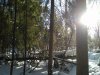 Классики в бодибилдинге. - Бодибилдинг форум AnabolicShops