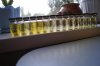 WWW.POWERGODS.BIZ  кидок. - Бодибилдинг форум AnabolicShops