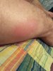 DevilsPharm.in.th - Бодибилдинг форум AnabolicShops