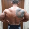 Gans45